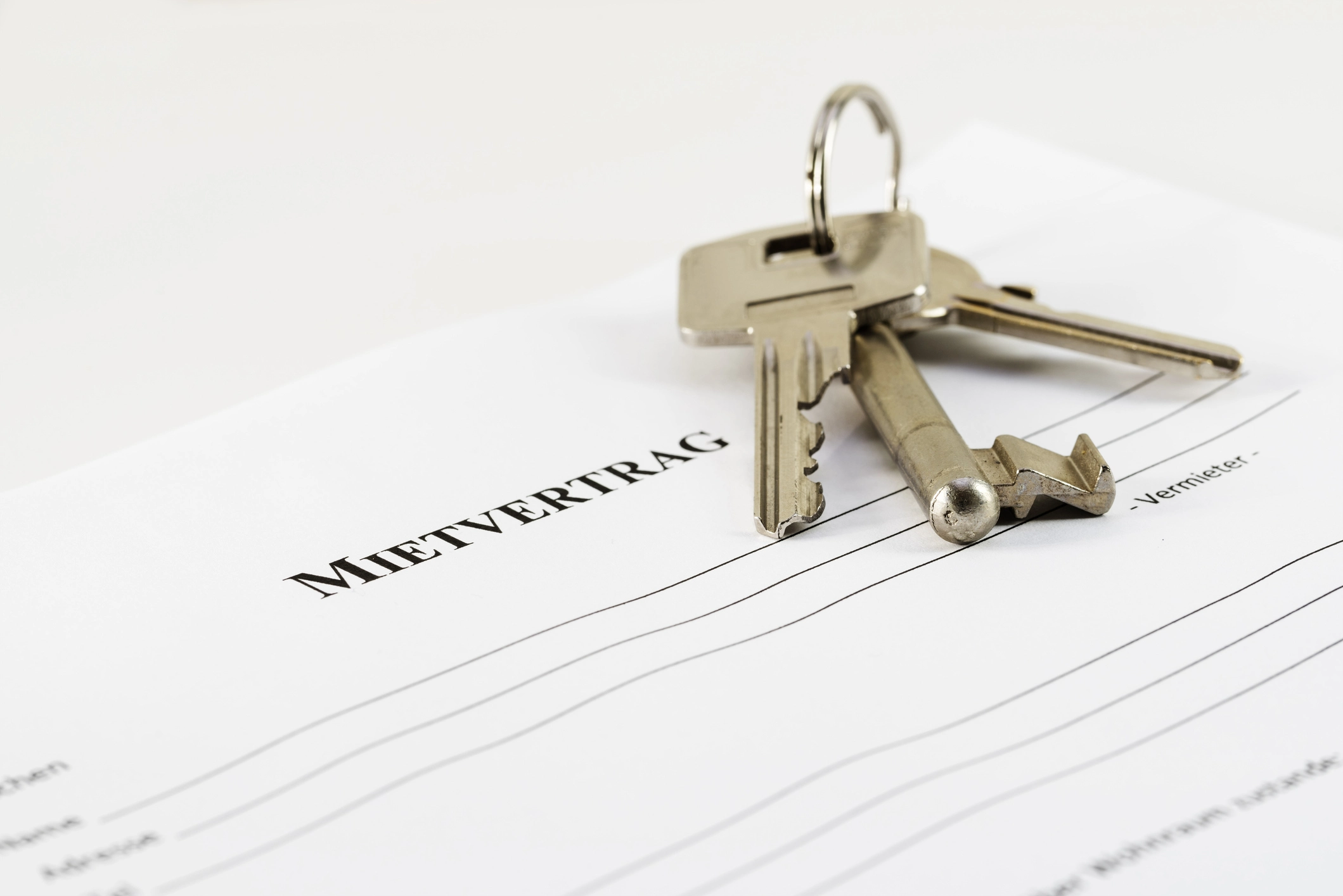 Mietvertrag – Was muss unbedingt enthalten sein?